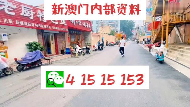 新2025年澳门天天开好彩,详细解答、解释与落实